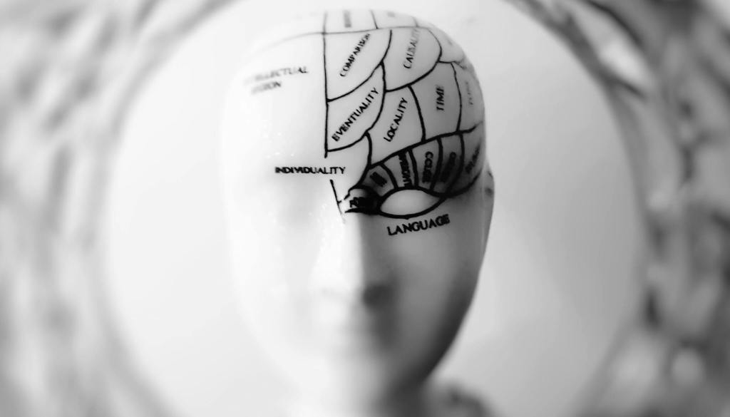 What Makes a Brain “Different”?