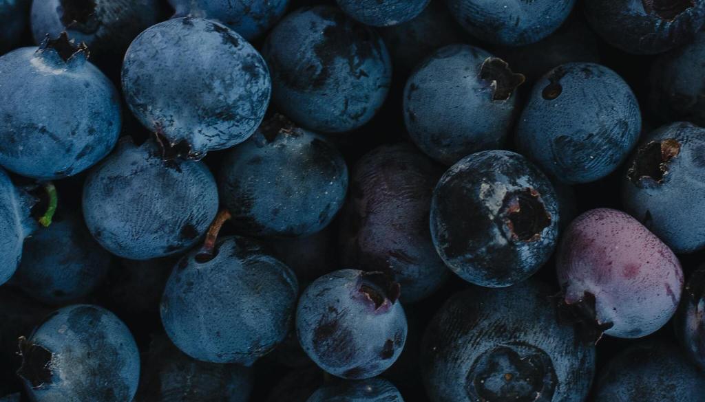 Feeding the Healing Brain