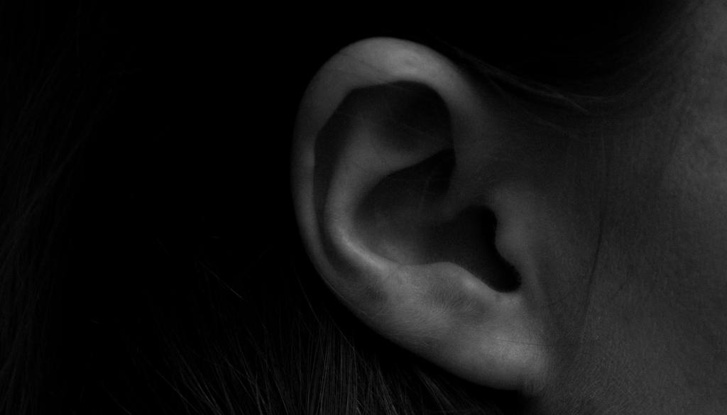 When Sensory Sensitivity Increases