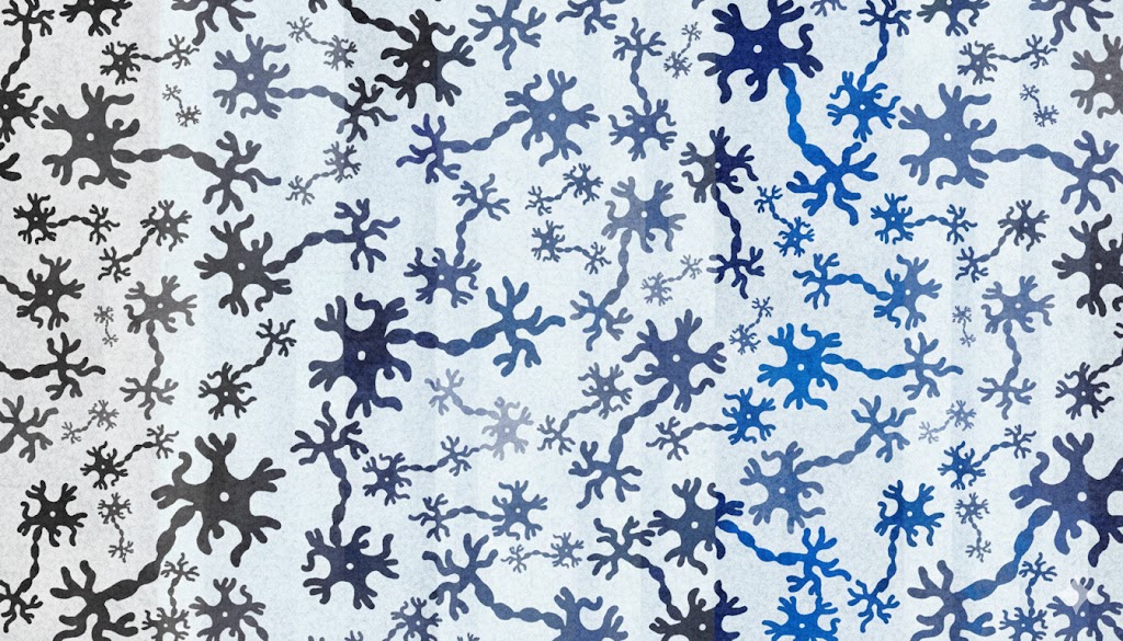 Neurodiversity: The Science of Being&nbsp;Human